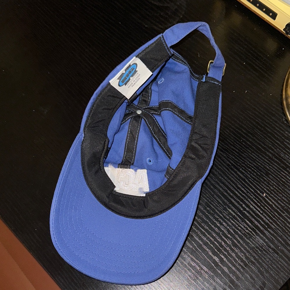 ACLU of GEORGIA Blue Baseball Cap - Picture 2 of 4